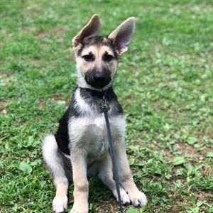 Meet your Posher, Anouluck